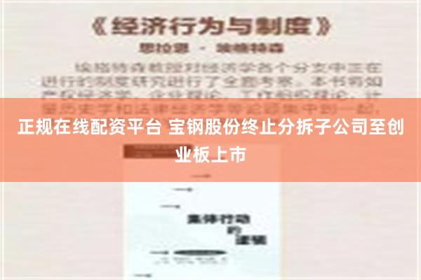 正规在线配资平台 宝钢股份终止分拆子公司至创业板上市