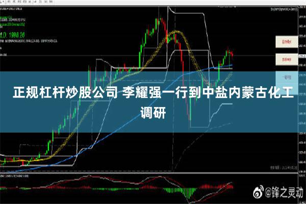 正规杠杆炒股公司 李耀强一行到中盐内蒙古化工调研