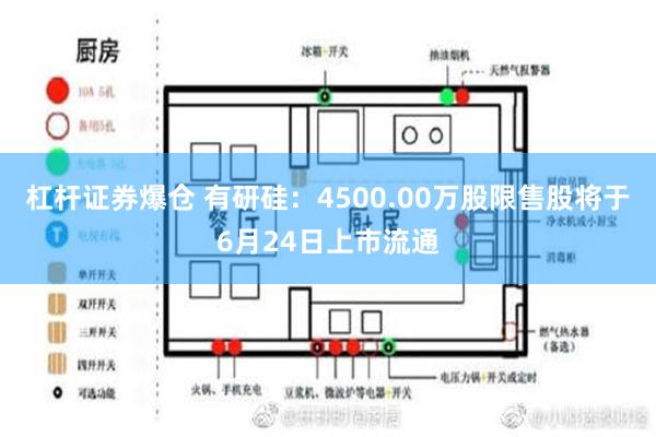 杠杆证券爆仓 有研硅：4500.00万股限售股将于6月24日上市流通