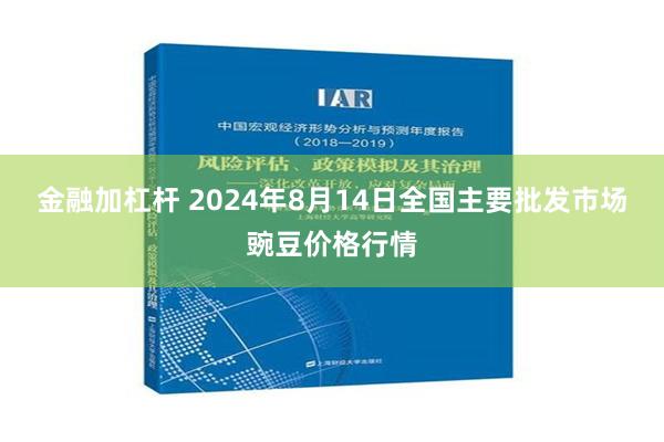 金融加杠杆 2024年8月14日全国主要批发市场豌豆价格行情