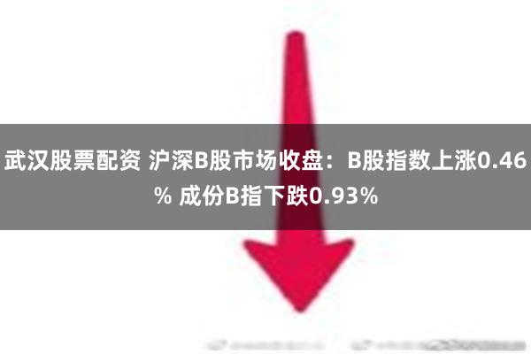 武汉股票配资 沪深B股市场收盘：B股指数上涨0.46% 成份B指下跌0.93%