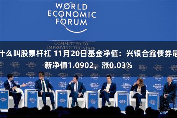 什么叫股票杆杠 11月20日基金净值：兴银合鑫债券最新净值1.0902，涨0.03%