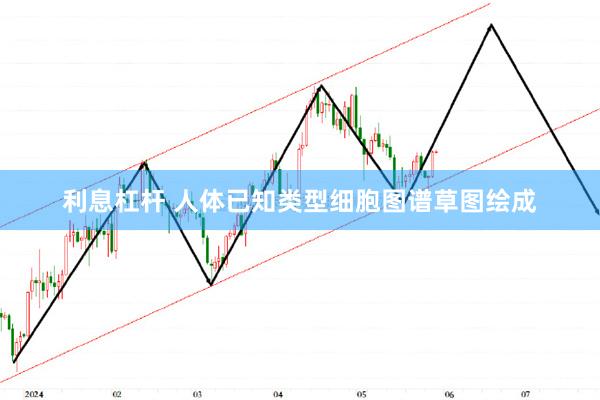 利息杠杆 人体已知类型细胞图谱草图绘成