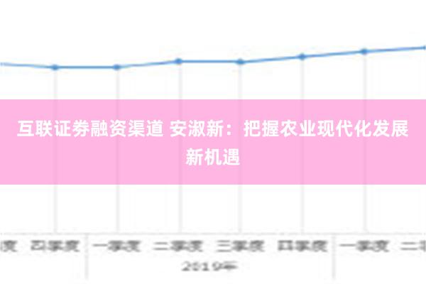 互联证劵融资渠道 安淑新：把握农业现代化发展新机遇