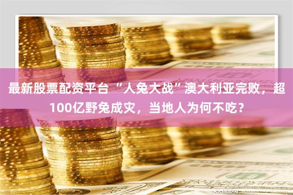 最新股票配资平台 “人兔大战”澳大利亚完败，超100亿野兔成灾，当地人为何不吃？